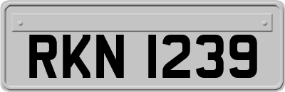 RKN1239