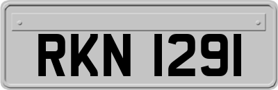 RKN1291