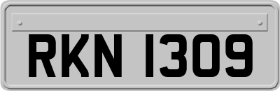 RKN1309