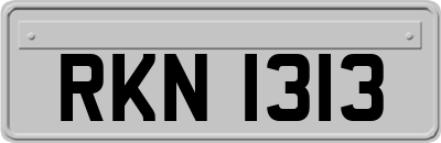 RKN1313