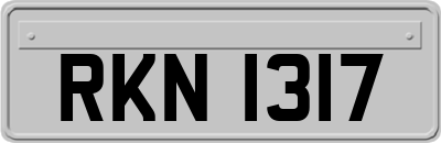 RKN1317