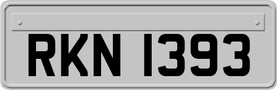 RKN1393