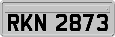 RKN2873