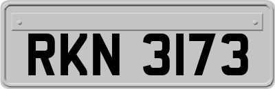 RKN3173