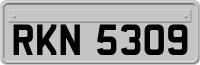 RKN5309