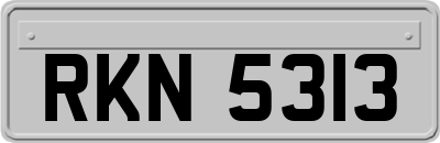 RKN5313