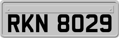 RKN8029