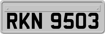 RKN9503