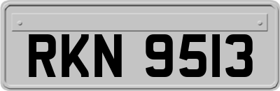 RKN9513