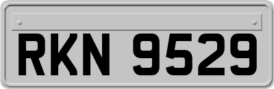 RKN9529