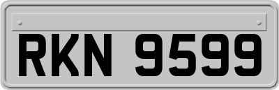 RKN9599