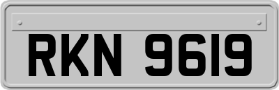 RKN9619