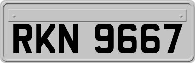 RKN9667