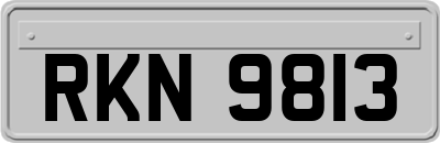 RKN9813