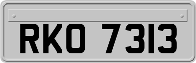 RKO7313