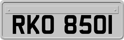 RKO8501