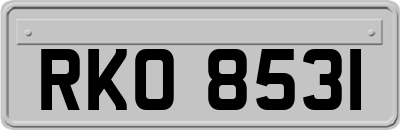 RKO8531