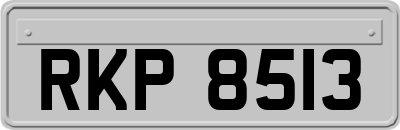 RKP8513