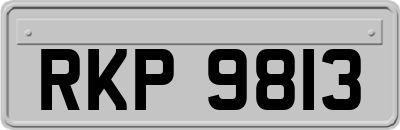 RKP9813