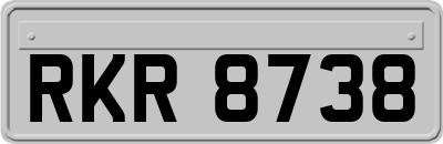 RKR8738