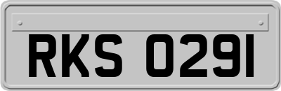 RKS0291