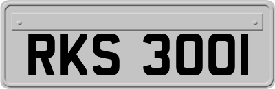 RKS3001