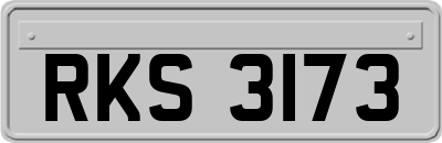 RKS3173