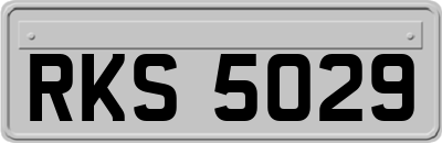 RKS5029