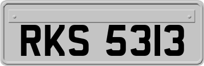 RKS5313