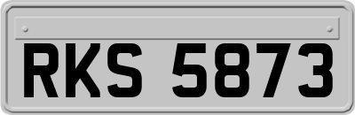 RKS5873