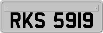 RKS5919