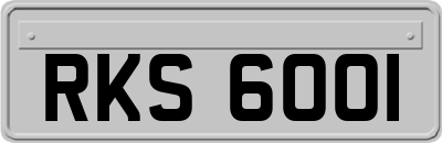 RKS6001