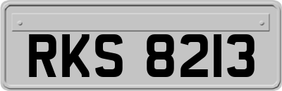 RKS8213