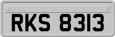 RKS8313