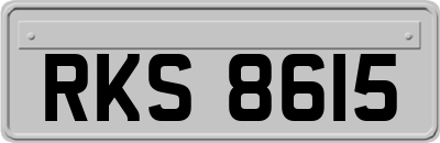 RKS8615