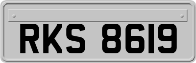 RKS8619