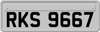 RKS9667