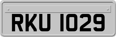 RKU1029