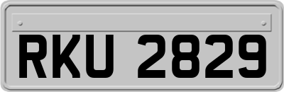 RKU2829