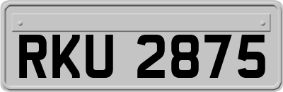 RKU2875