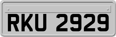 RKU2929