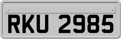 RKU2985