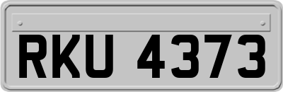 RKU4373