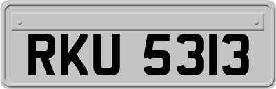 RKU5313