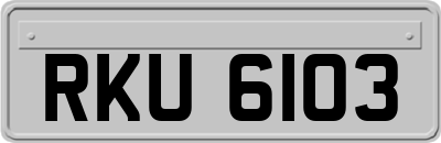 RKU6103