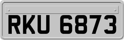 RKU6873