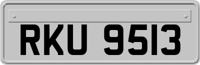 RKU9513