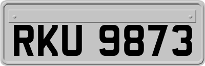 RKU9873