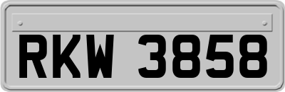 RKW3858