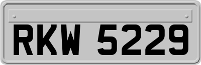 RKW5229